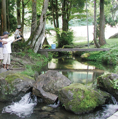 林間広場（夏期）